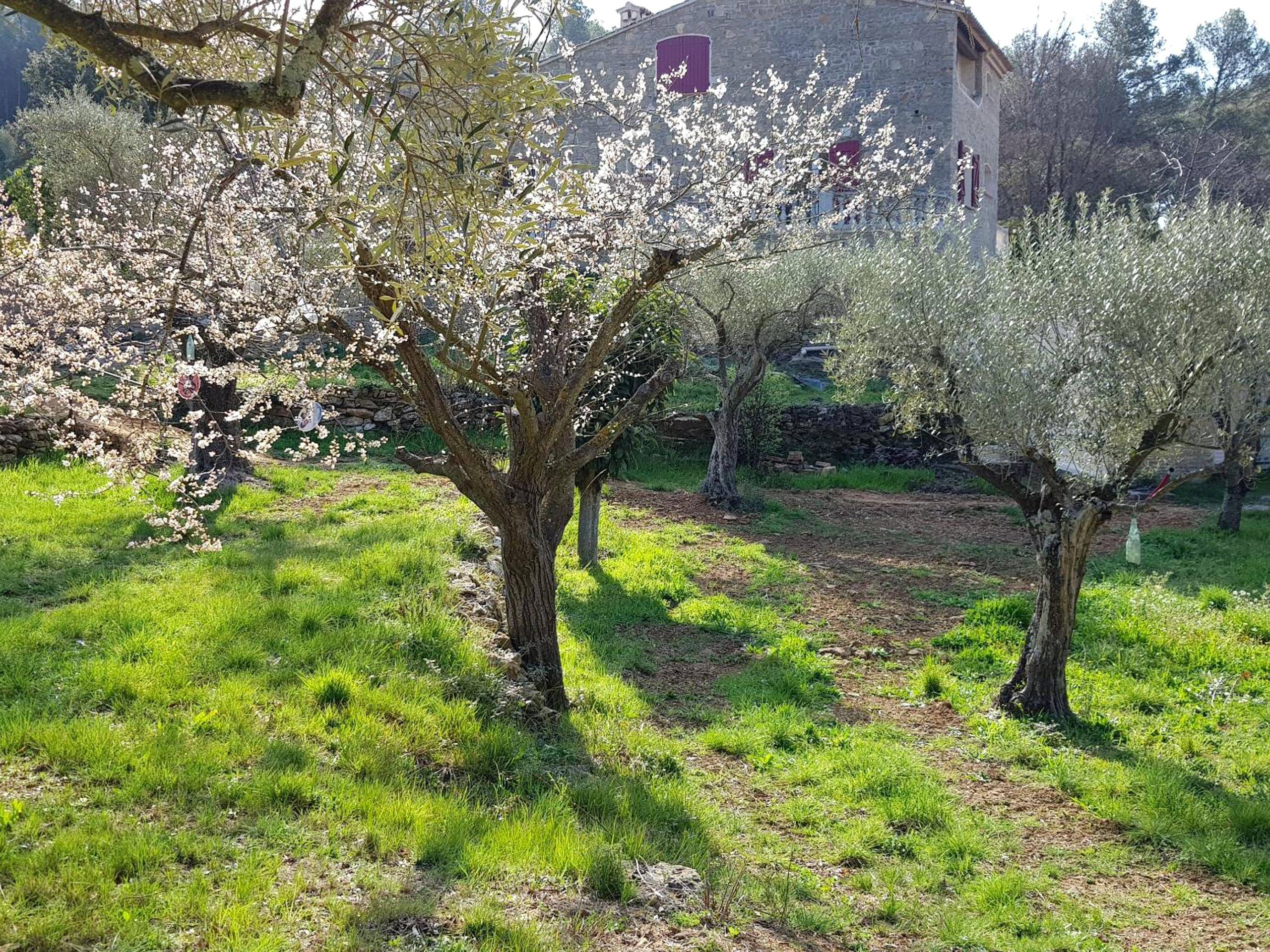 Photo du logement - Gîtes Mas des rochers - Case bambou avec Spa - Le Beausset