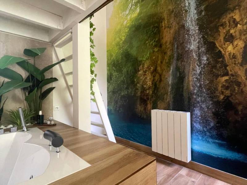 Photo du logement - Memories Loft and Spa - Paris - Carrières - sur - Seine