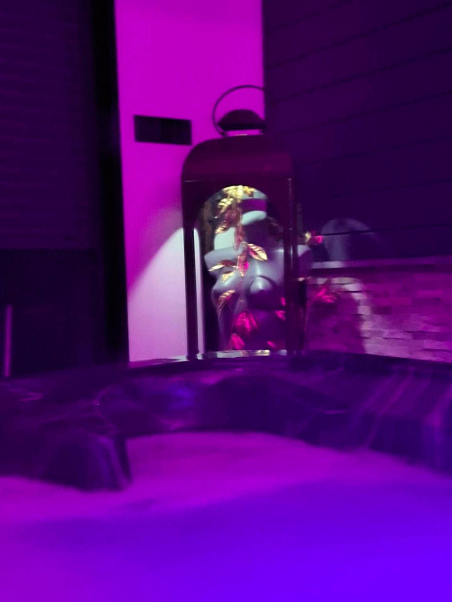 Photo du logement - love room mes petits secrets miniac morvan avec jacuzzi privatif - Dinan