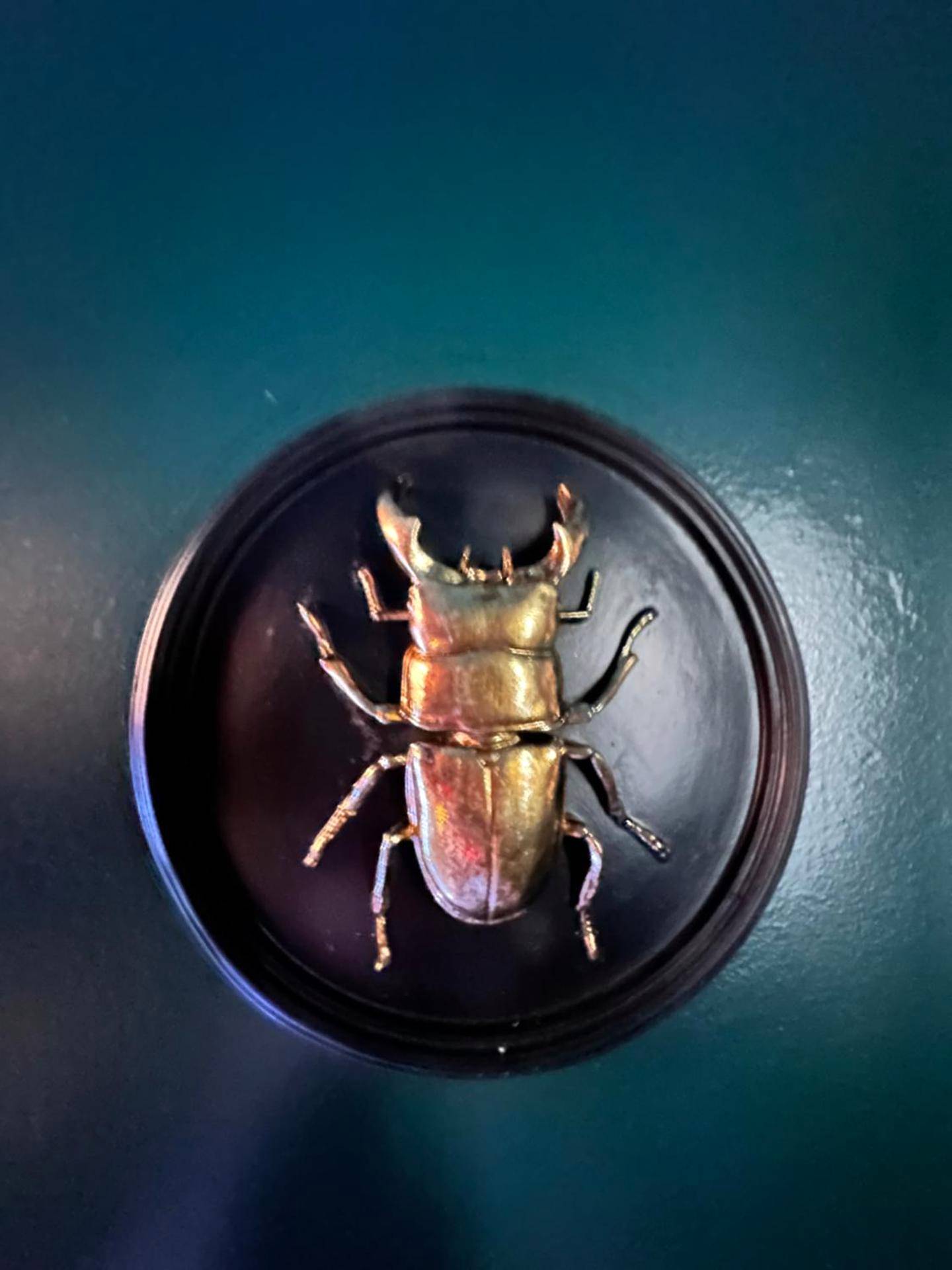 Photo du logement - Mieuxqualhotel jacuzzi privatif Velvet Desire