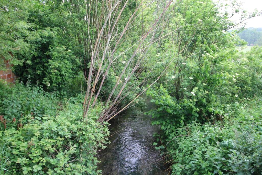 Photo du logement - Sauna et jacuzzi - Les mille et une nuits - 2km mer - Dieppe