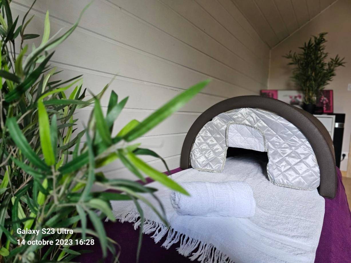 Photo du logement - Un moment de détente