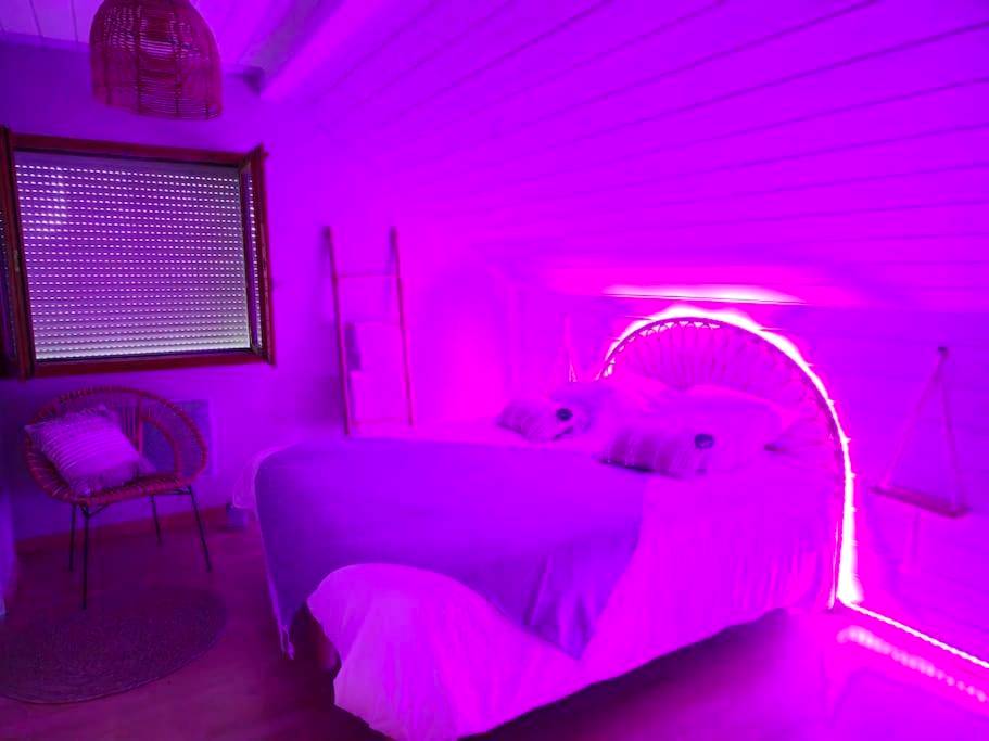 Photo du logement - Un moment de détente