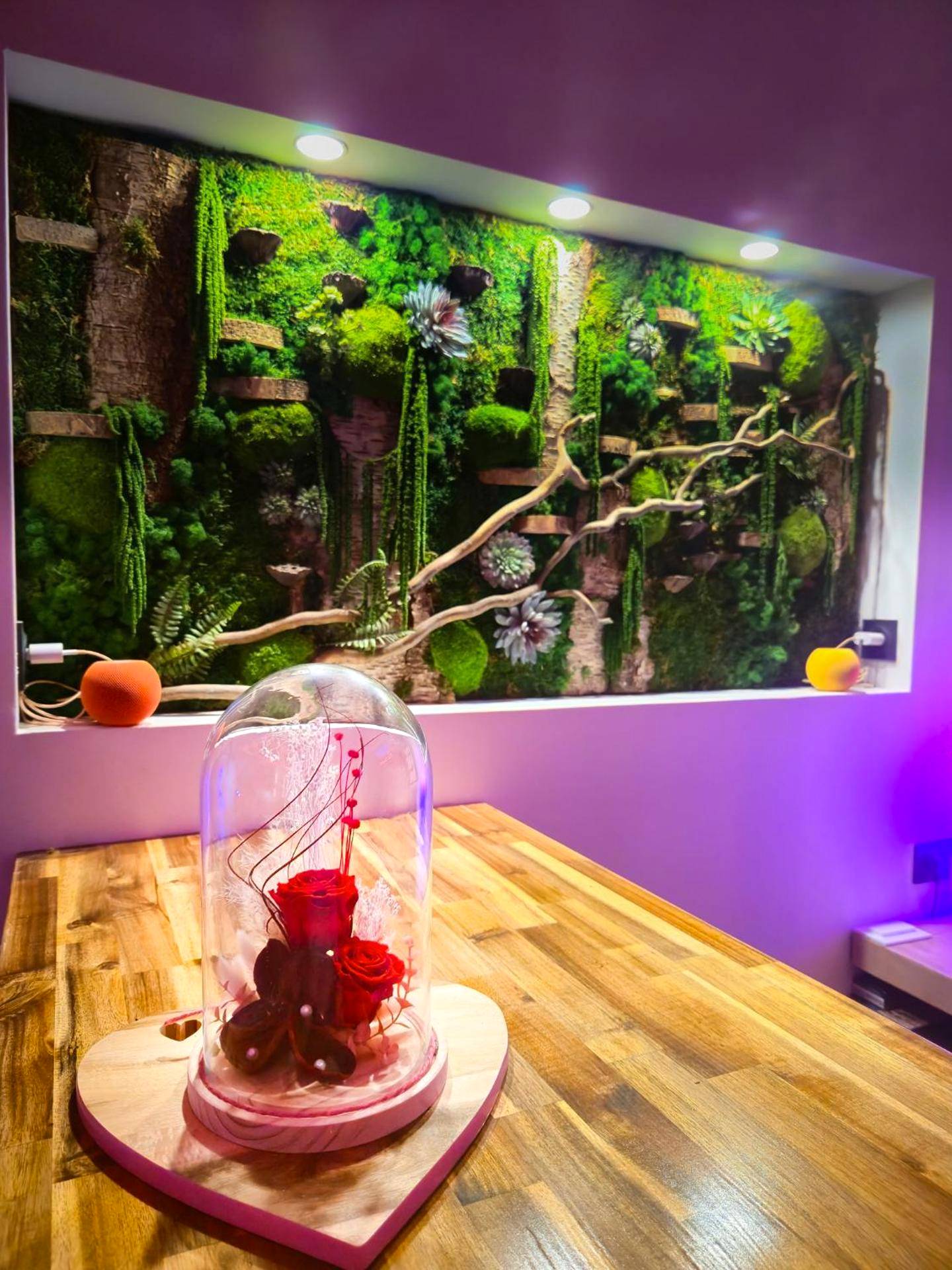 Photo du logement - Mont Evasion Spa