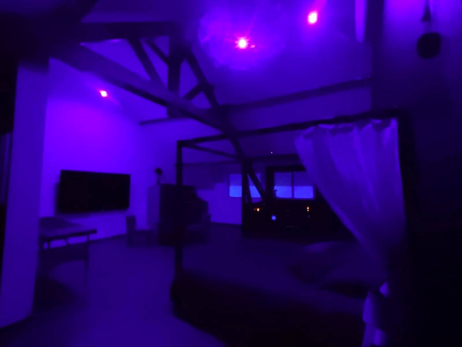 Ambiance nocturne avec éclairage néon violet - Love Room à Montargis