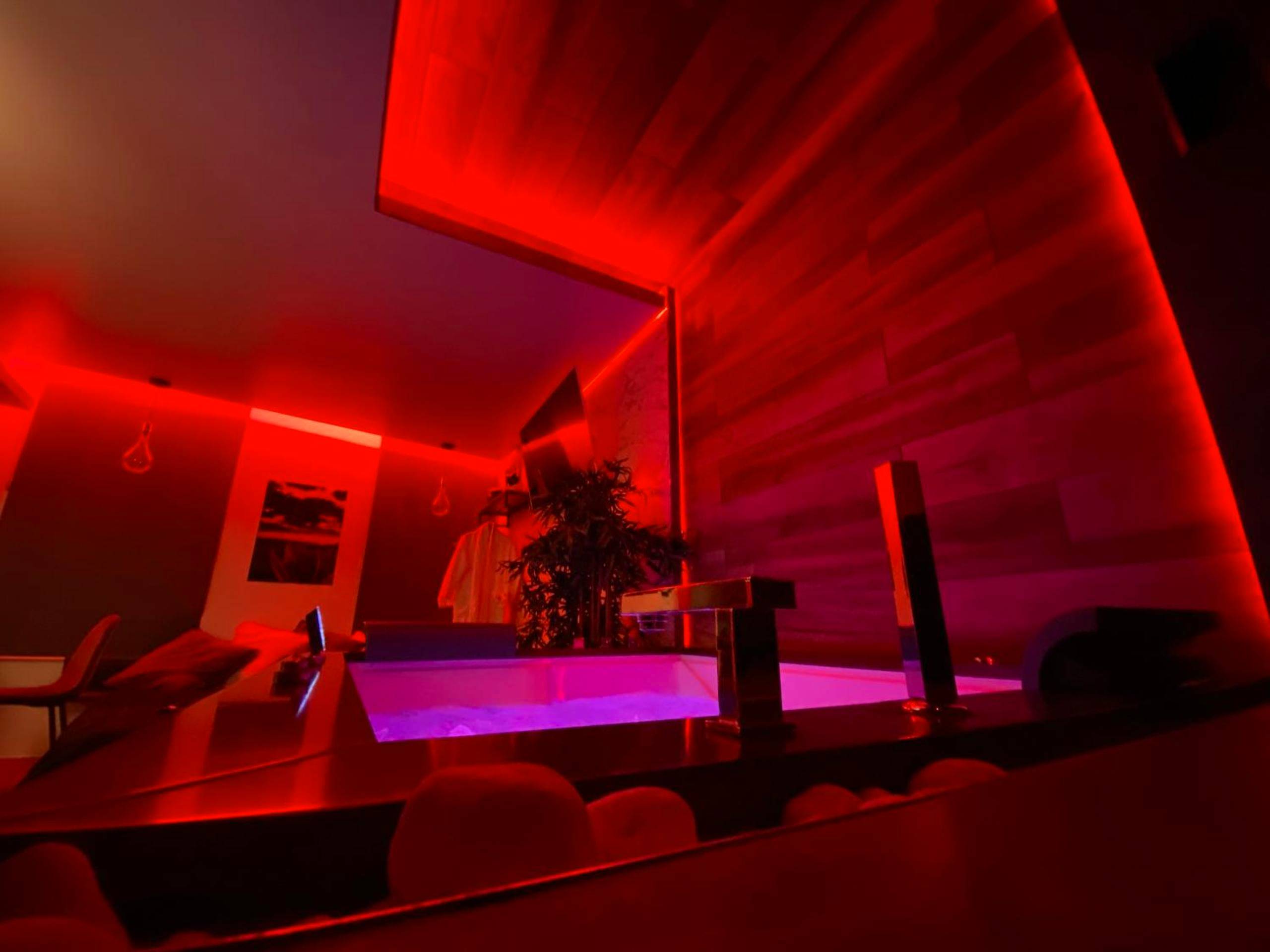 Photo du logement - Suite morning star