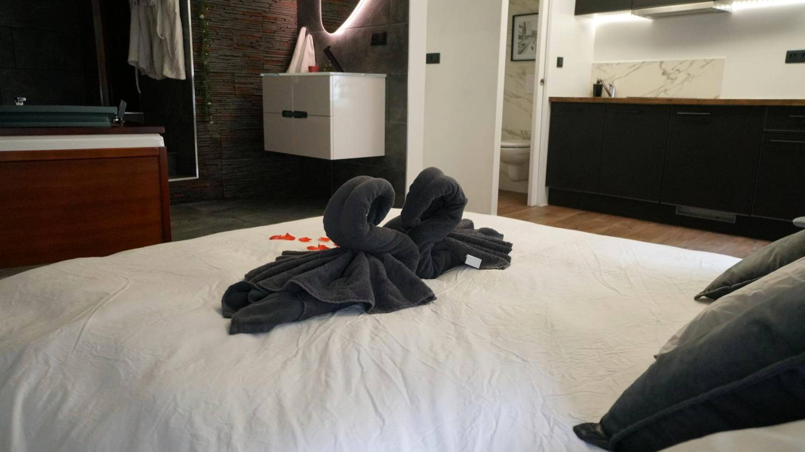 Photo du logement - Suite morning star