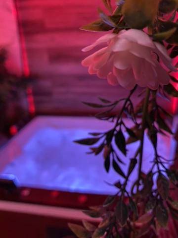 Photo du logement - Suite morning star