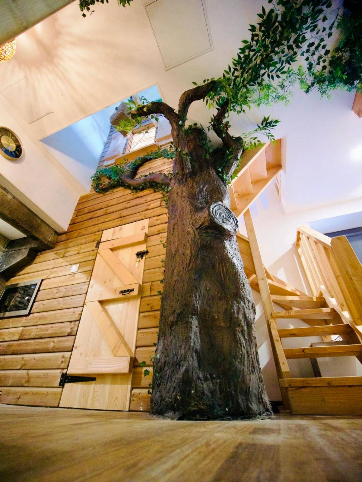 Photo du logement - Mowgli Gite Jungle - Bégard