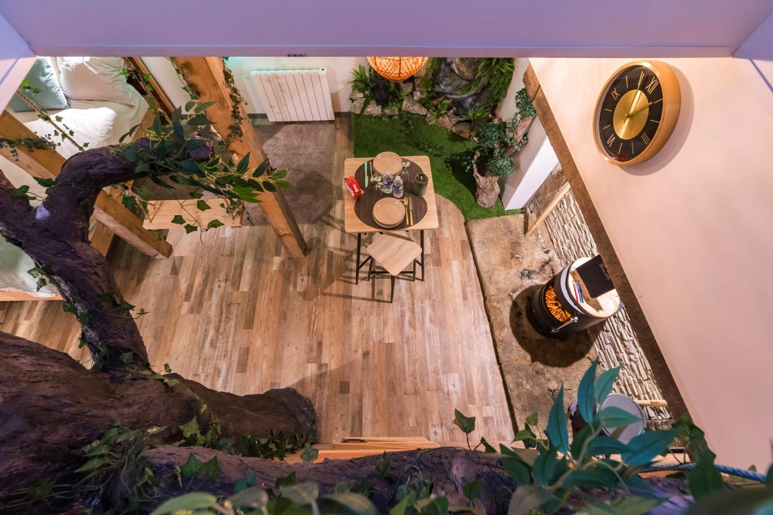 Photo du logement - Mowgli Gite Jungle