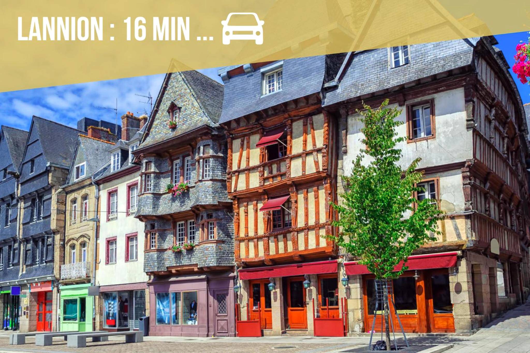 Photo du logement - Mowgli Gite Jungle