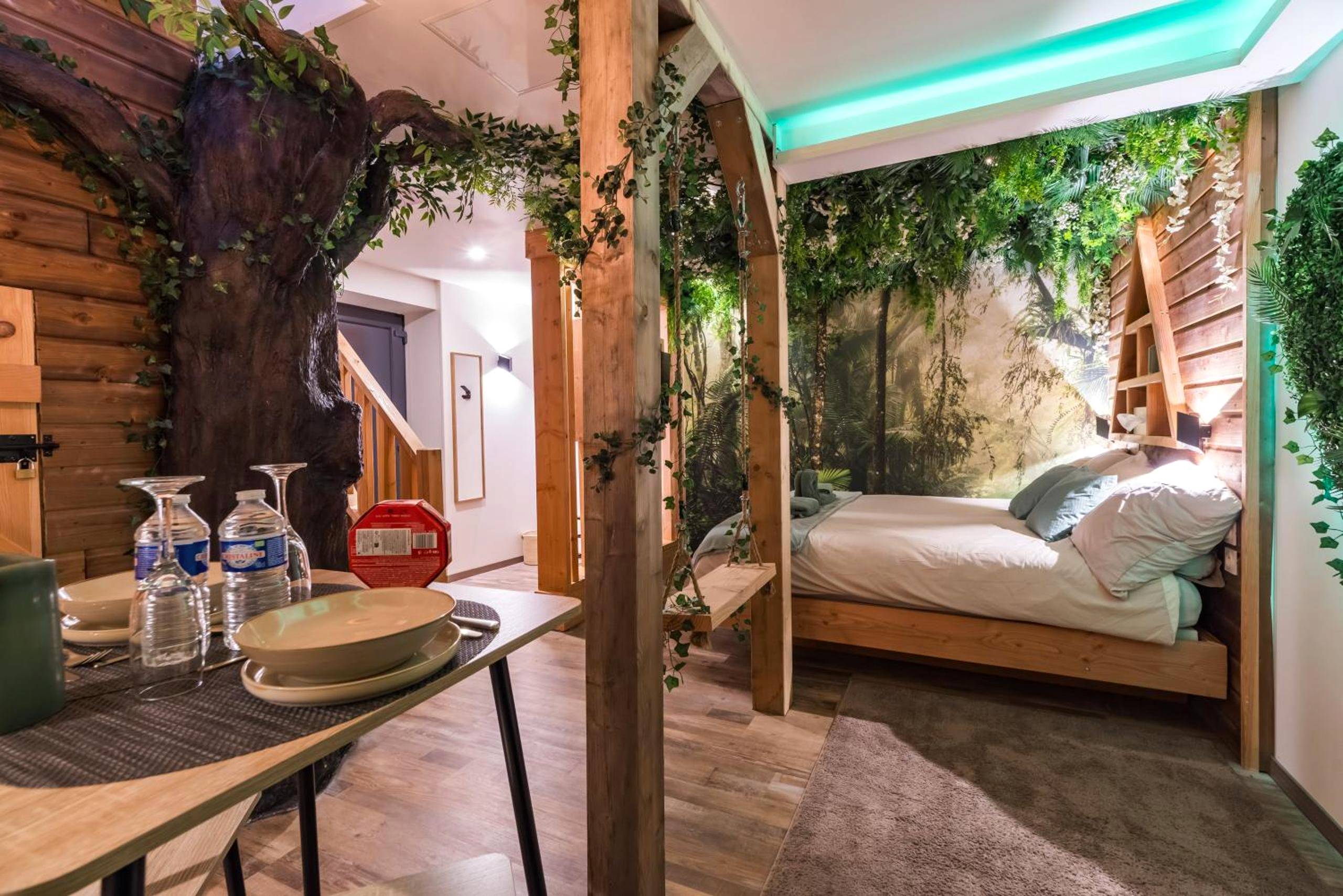 Photo du logement - Mowgli Gite Jungle