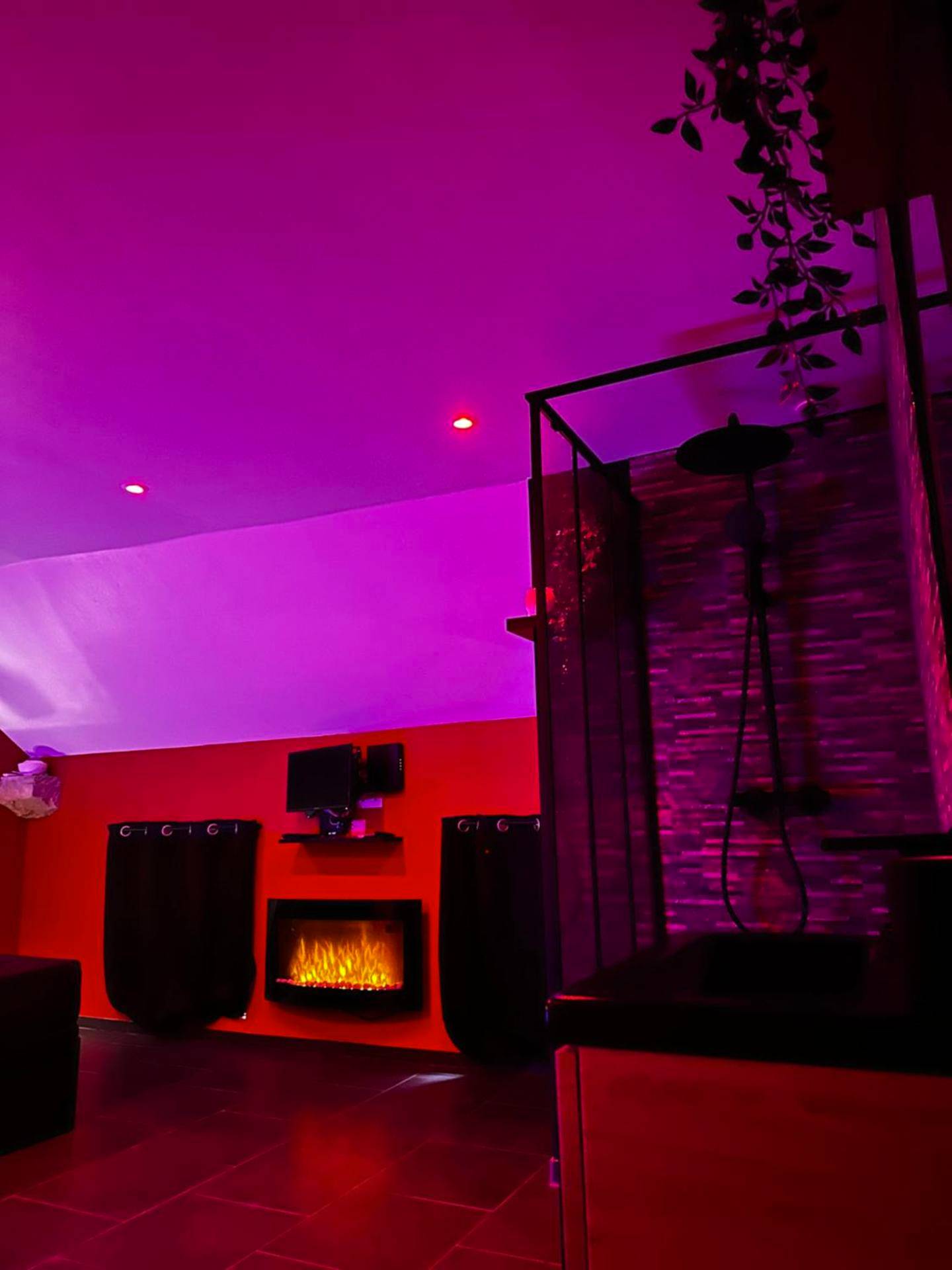 Photo du logement - Msroom - Remiremont