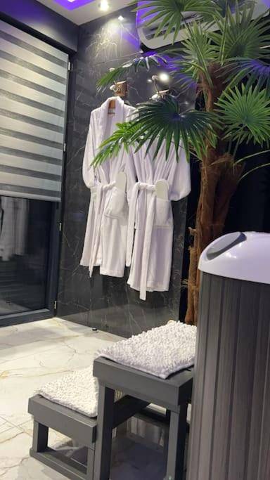 Photo du logement - Murano Gold Gîte avec SPA & SAUNA Privatif - Calais