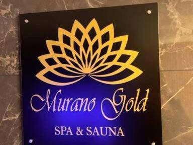 Photo du logement - Murano Gold Gîte avec SPA & SAUNA Privatif