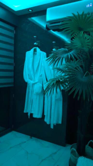 Photo du logement - Murano Gold Gîte avec SPA & SAUNA Privatif