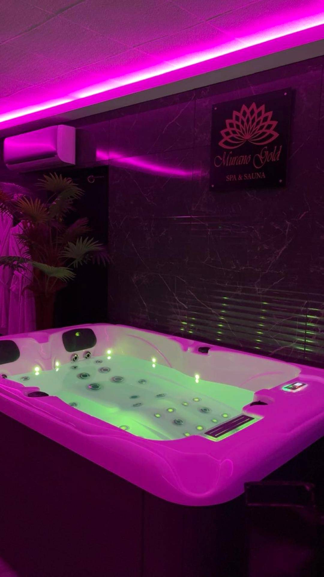 Photo du logement - Murano Gold Gîte avec SPA & SAUNA Privatif - Calais