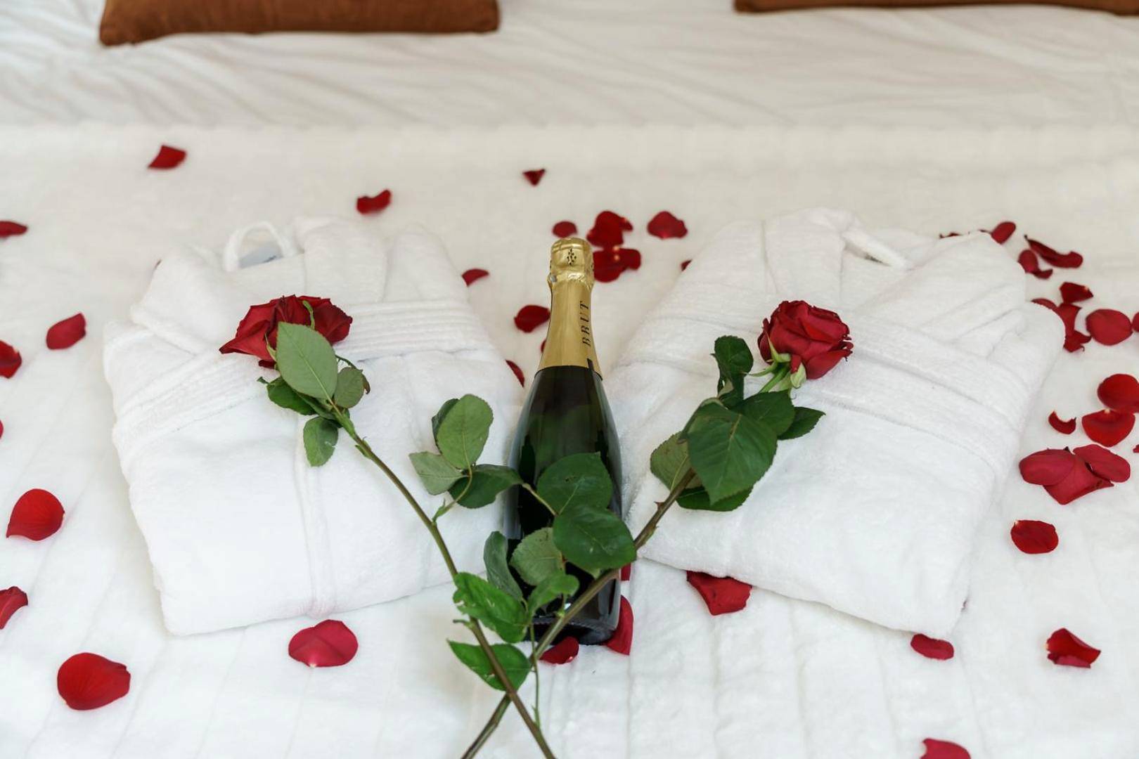 Photo du logement - My Home Prestige / SPA Privatif - Châteauroux