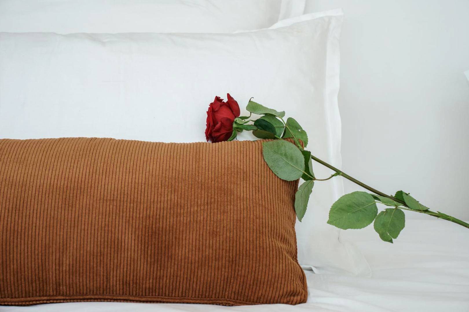 Photo du logement - My Home Prestige / SPA Privatif