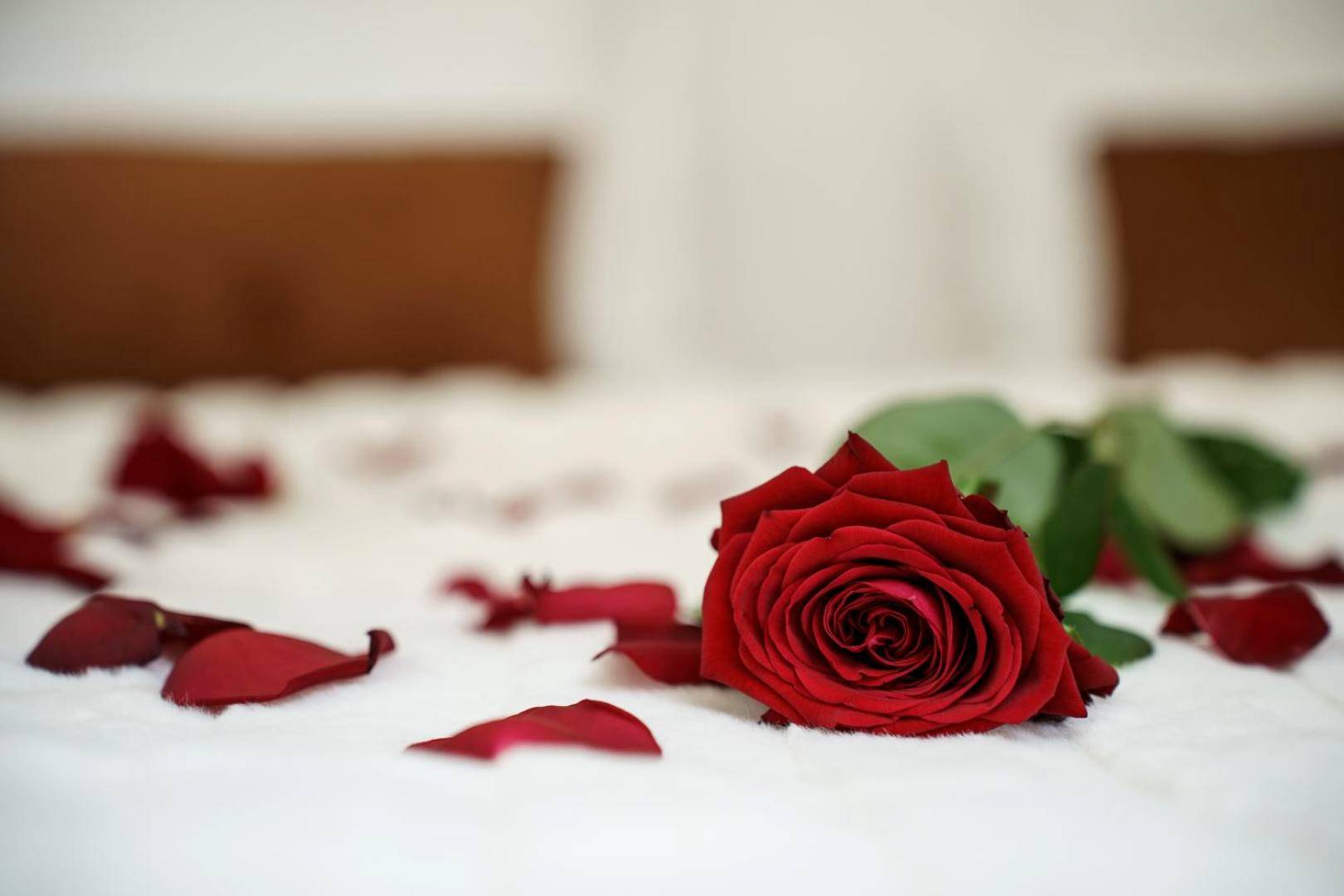 Photo du logement - My Home Prestige / SPA Privatif