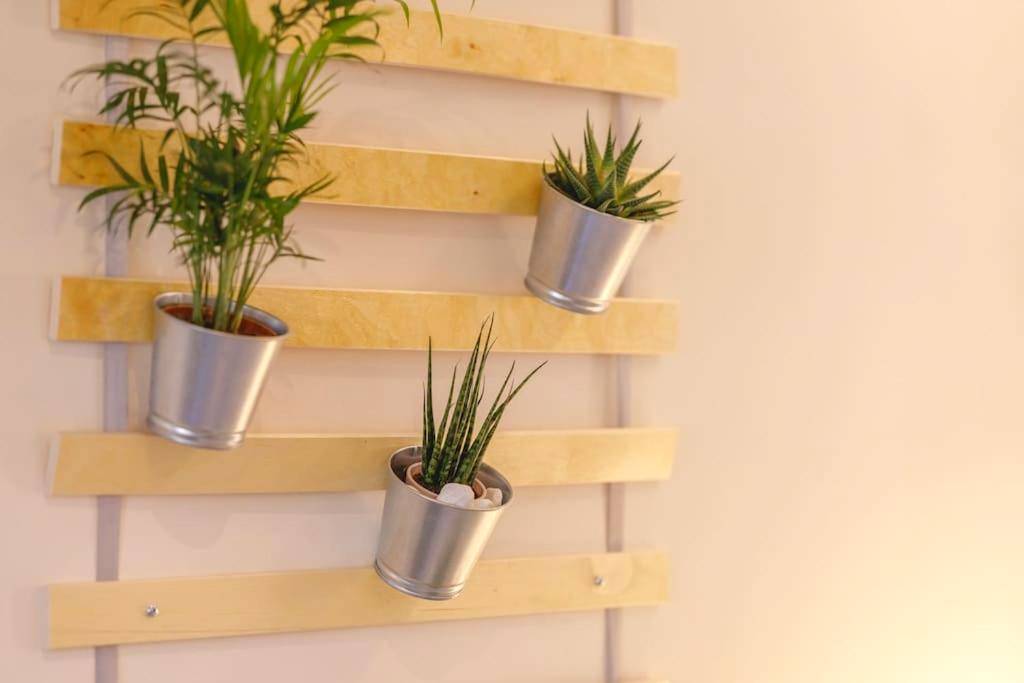 Photo du logement - My Love Nest