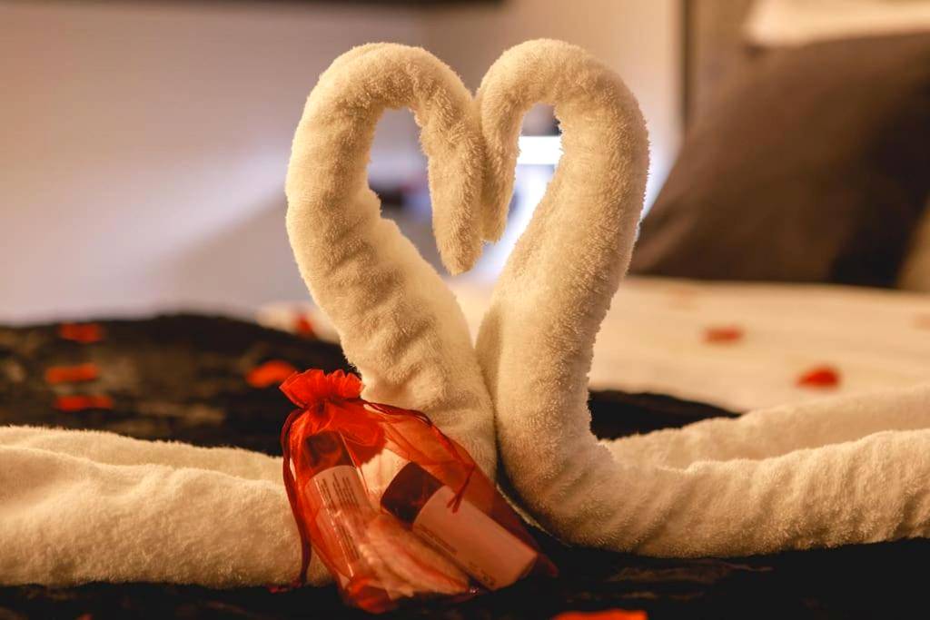 Photo du logement - My Love Nest