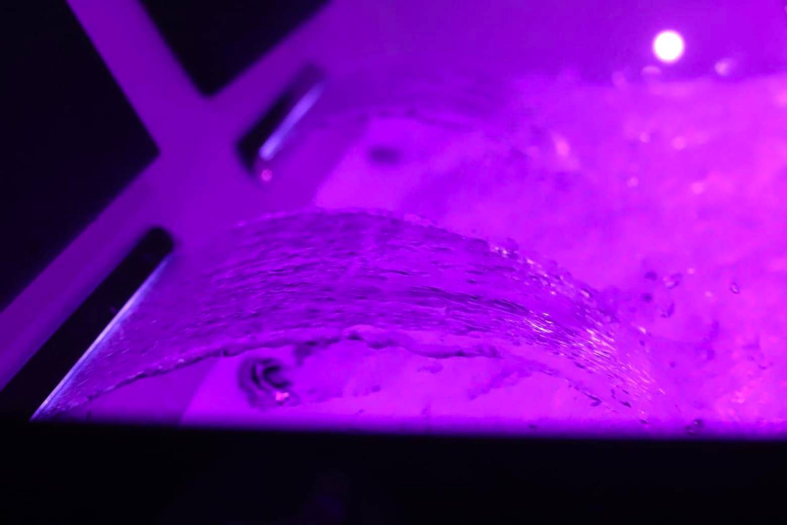 Photo du logement - NARCISSE Balnéo, Sauna, Hammam - Reims