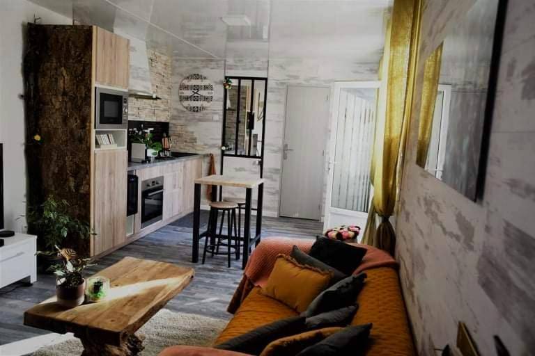 Photo du logement - Le Néflier Dijon - appart balnéo - SPA romantique pour 2