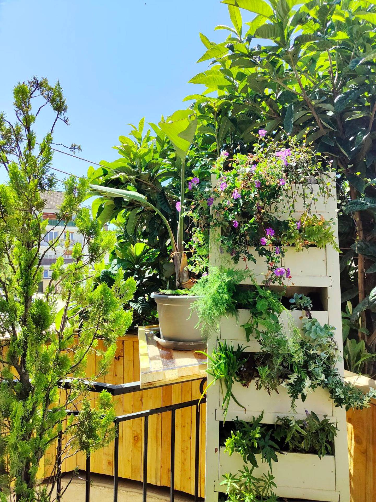 Photo du logement - Le Néflier Dijon - appart balnéo - SPA romantique pour 2 - Villé