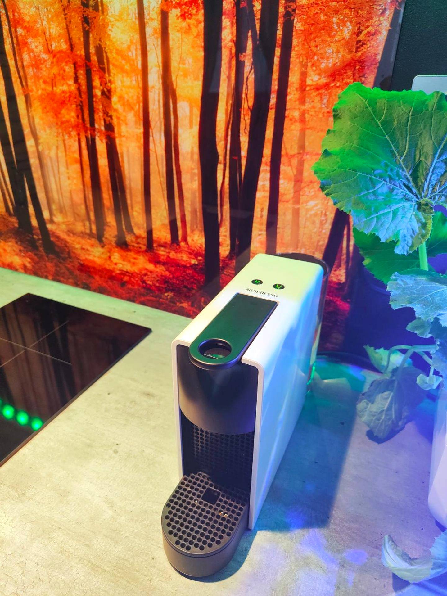 Photo du logement - Le Néflier Dijon - appart balnéo - SPA romantique pour 2 - Villé