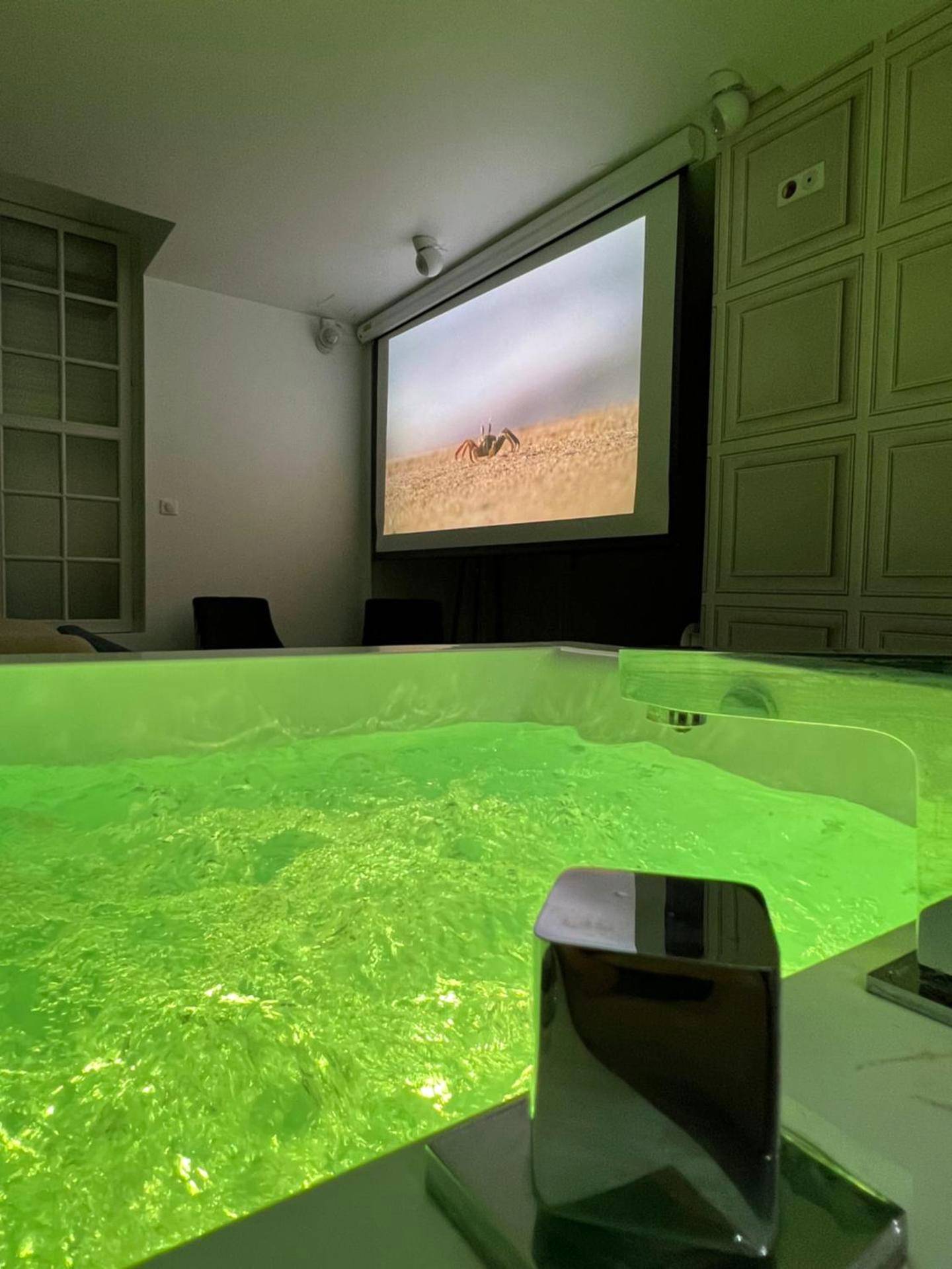 Photo du logement - Appartement avec Jacuzzi Sauna & Home Cinéma - Nid d'Angers