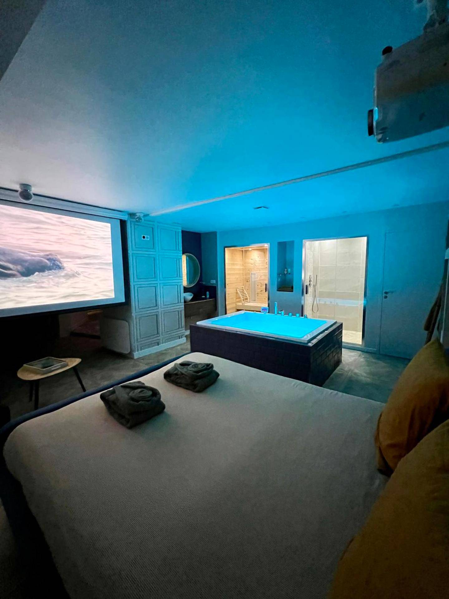 Photo du logement - Appartement avec Jacuzzi Sauna & Home Cinéma - Nid d'Angers