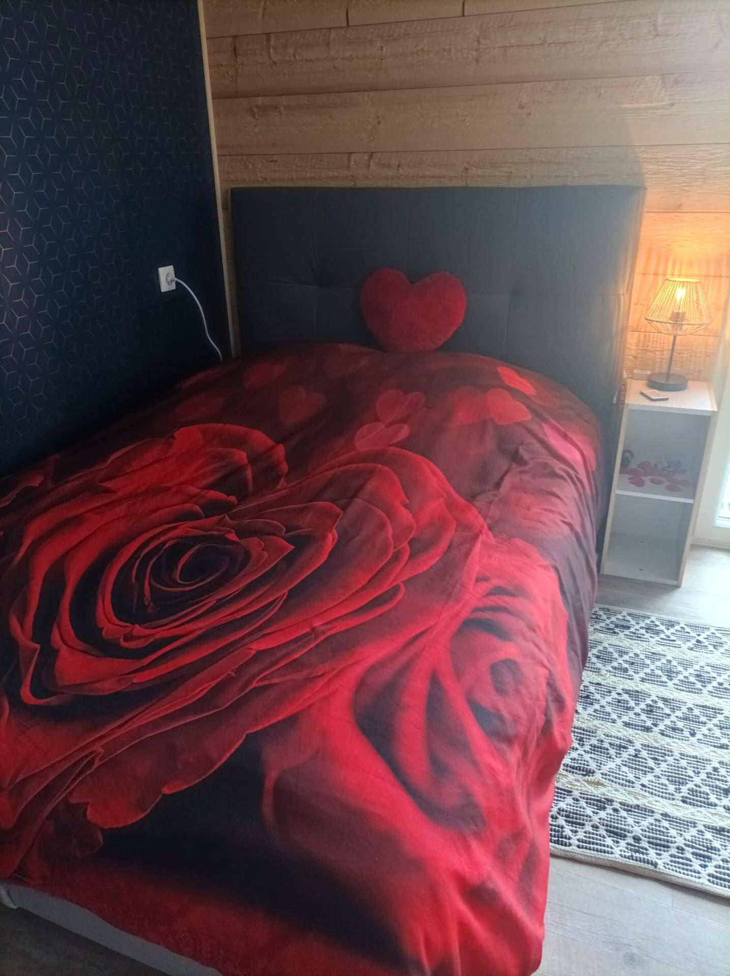 Photo du logement - Le nid douillet d'Alsace et sa balnéo