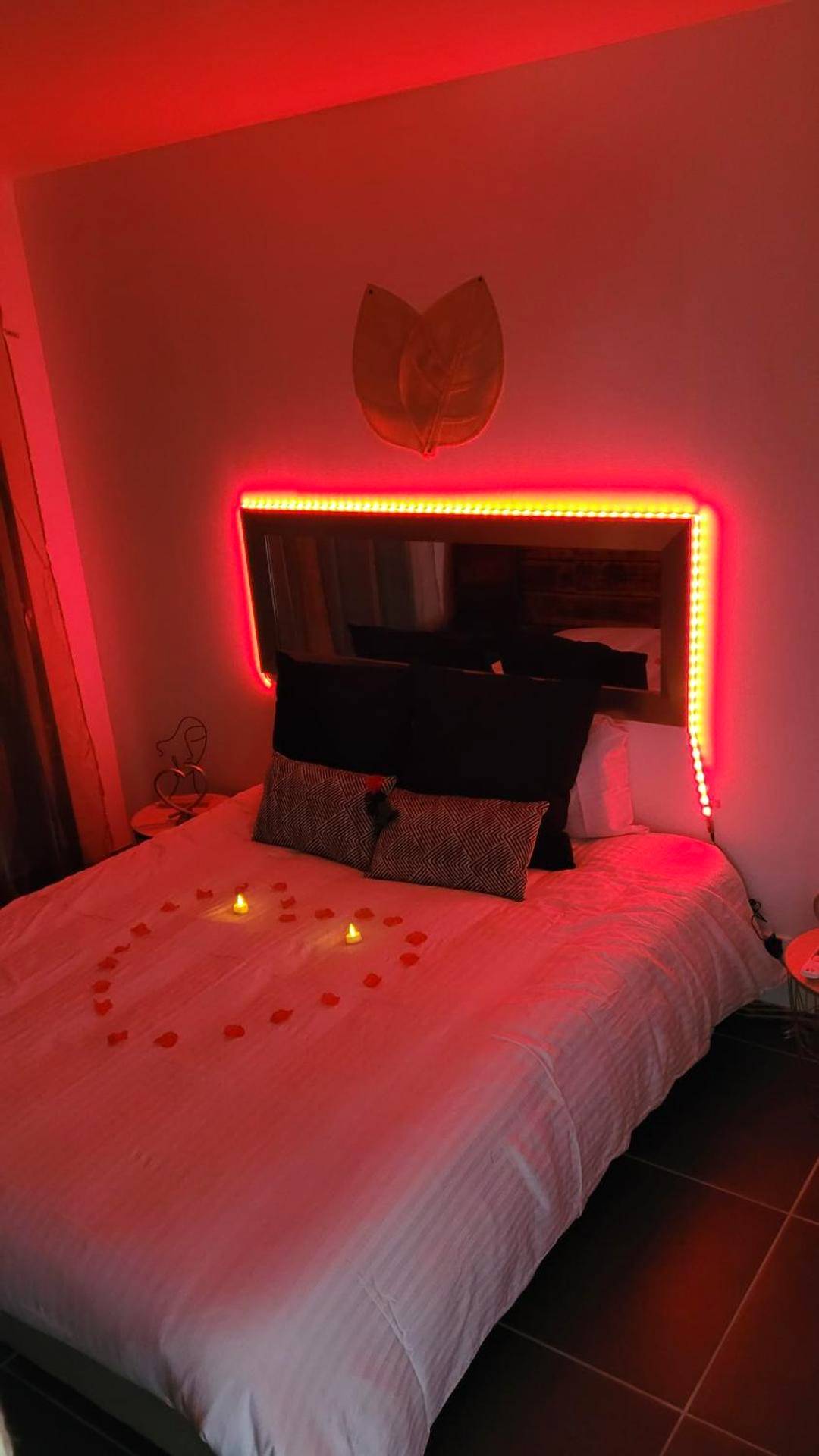 Vue du logement - NiD'Amour l'Hirondelle