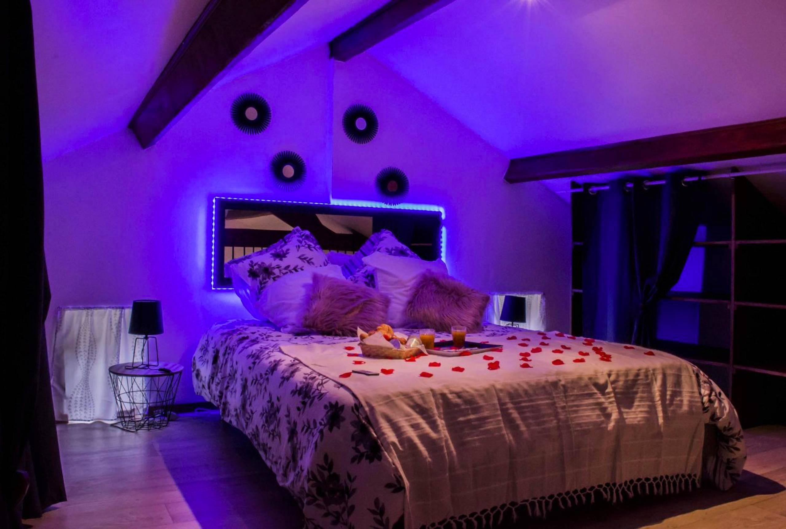 Vue du logement - NiD'Amour le Rossignol