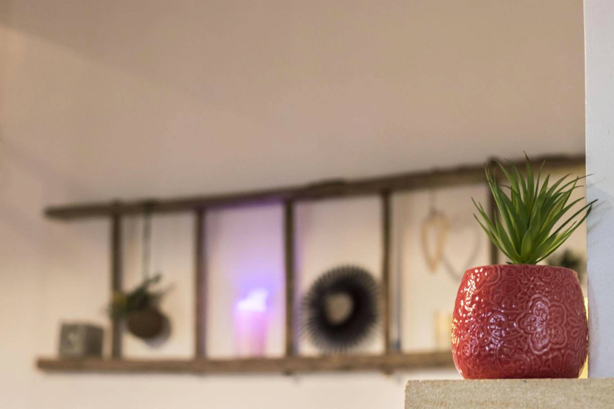 Photo du logement - NiD'Amour le Rossignol