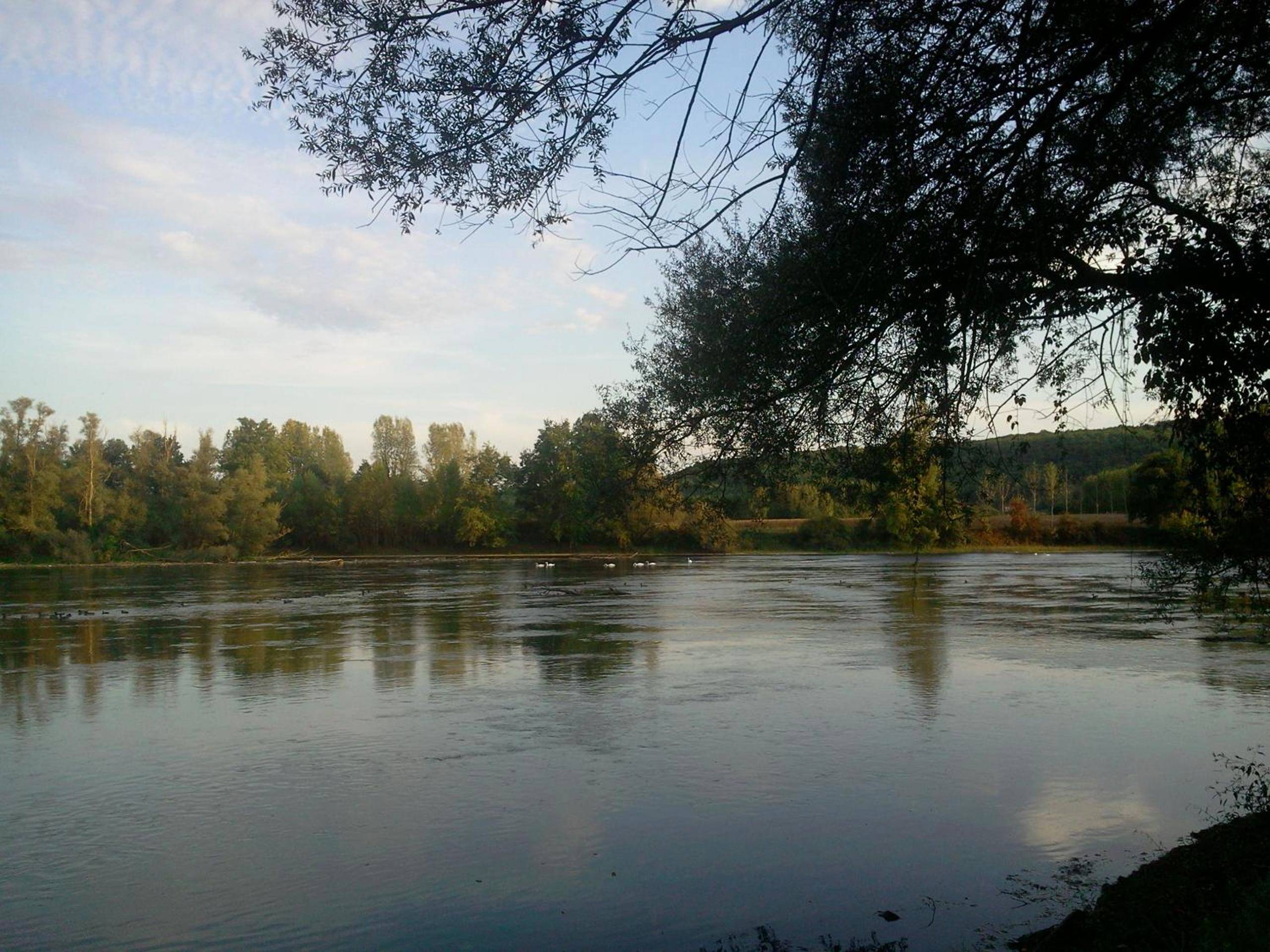 Photo du logement - NiD'Amour le Rossignol