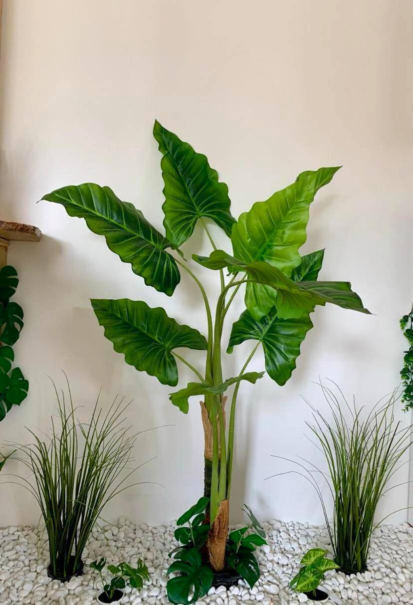 Photo du logement - Les Nids Guérandais - Loverooms - Guérande