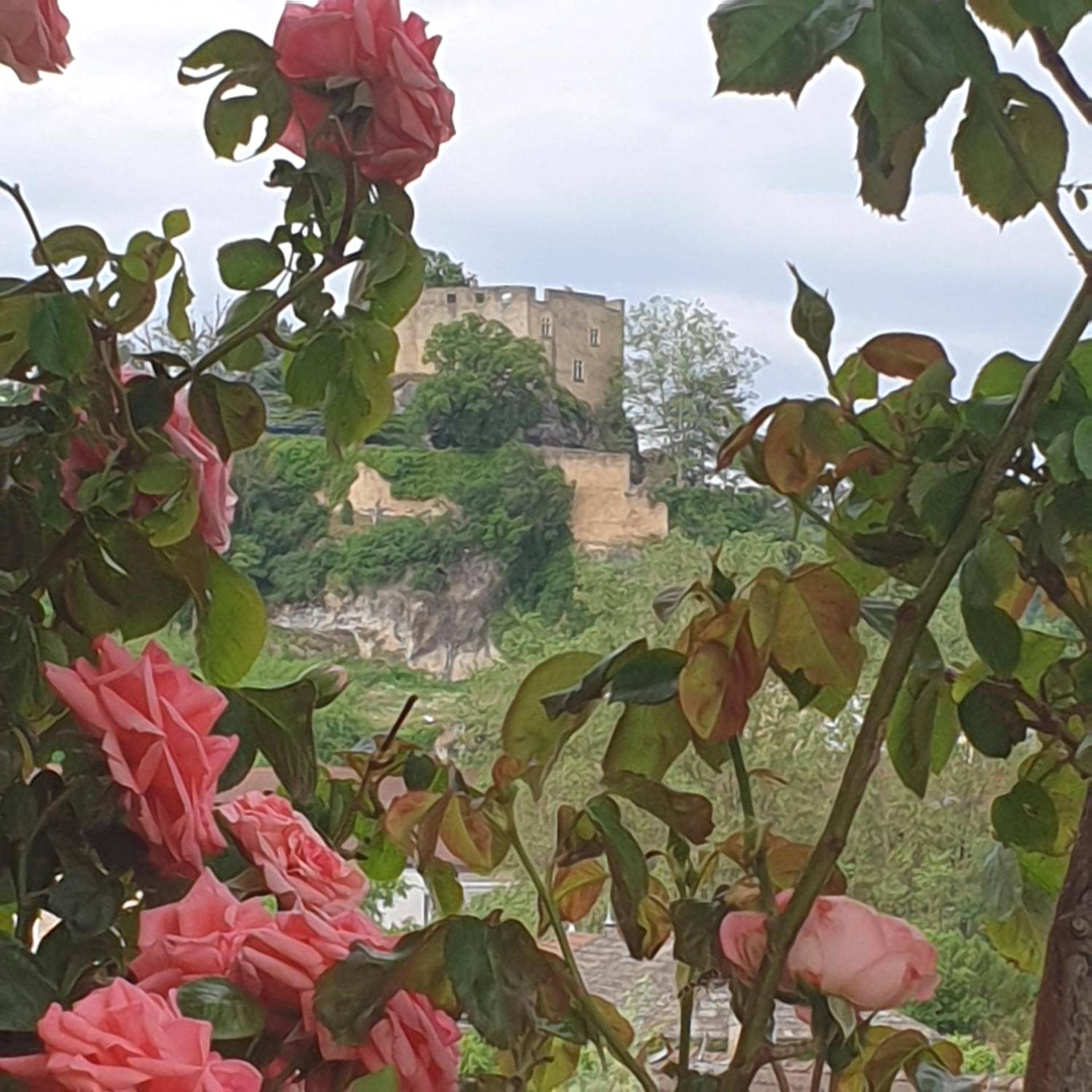 Photo du logement - Les Nuances de Mélis' - Bourgoin - Jallieu