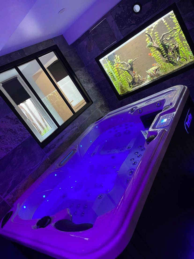 Photo du logement - Nuit de la sagesse "jacuzzi terrasse et parking privé" - Rouen