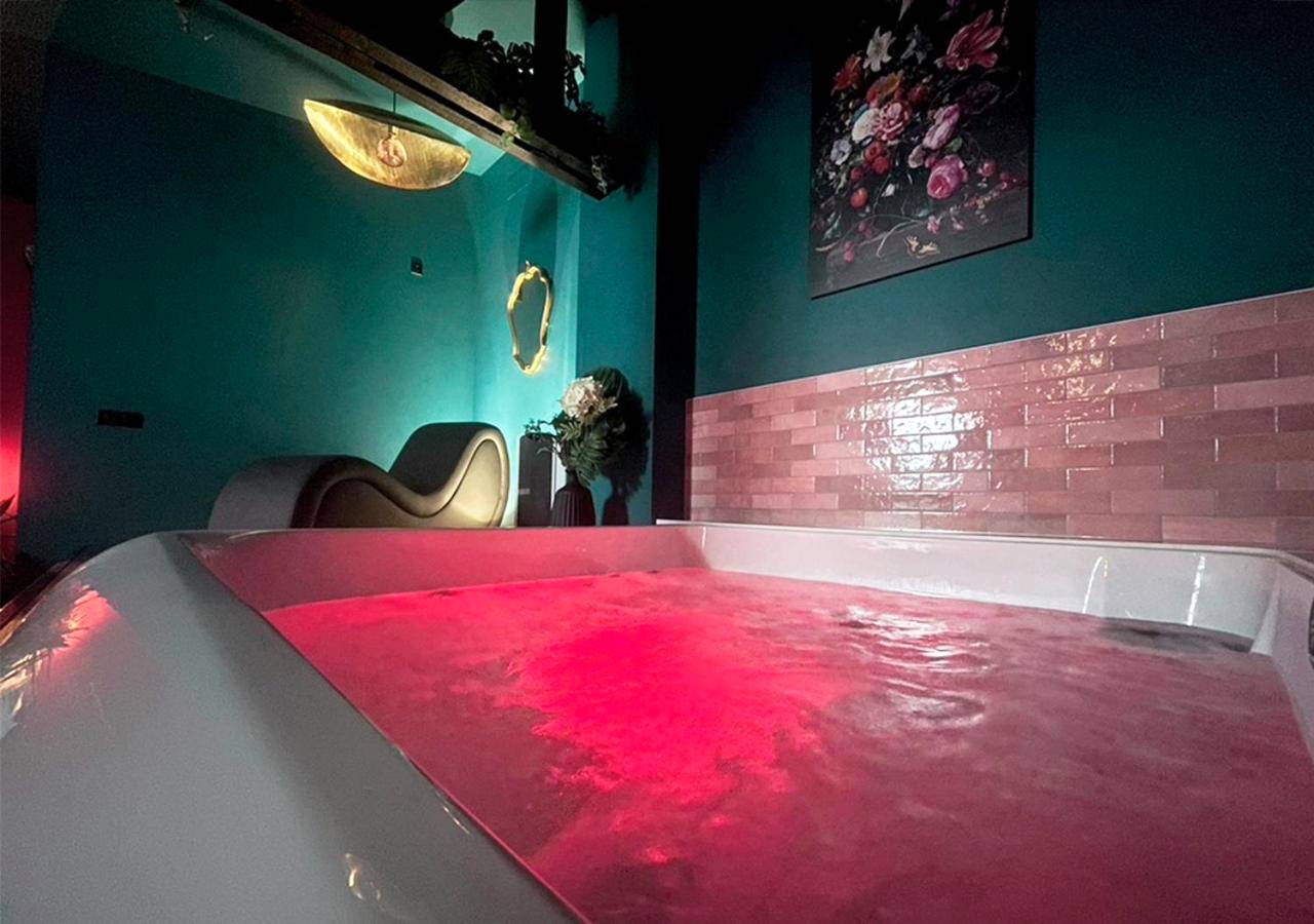 Vue du logement - Love Room Bondy - NUITS D'EXIL