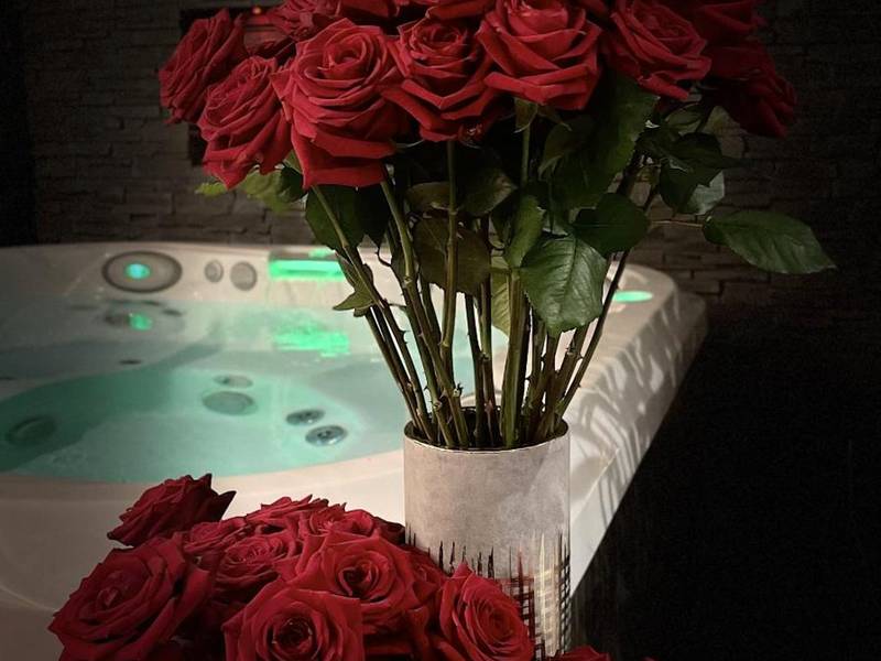 Photo du logement - O Venus Spa - Sin - le - Noble