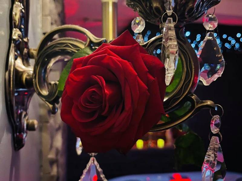 Photo du logement - O Venus Spa - Sin - le - Noble