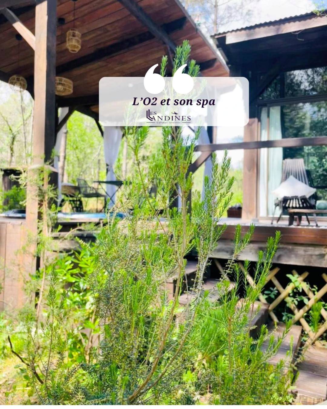 Photo du logement - L'O2 et son Spa, cabane de verre et de bois - Origne