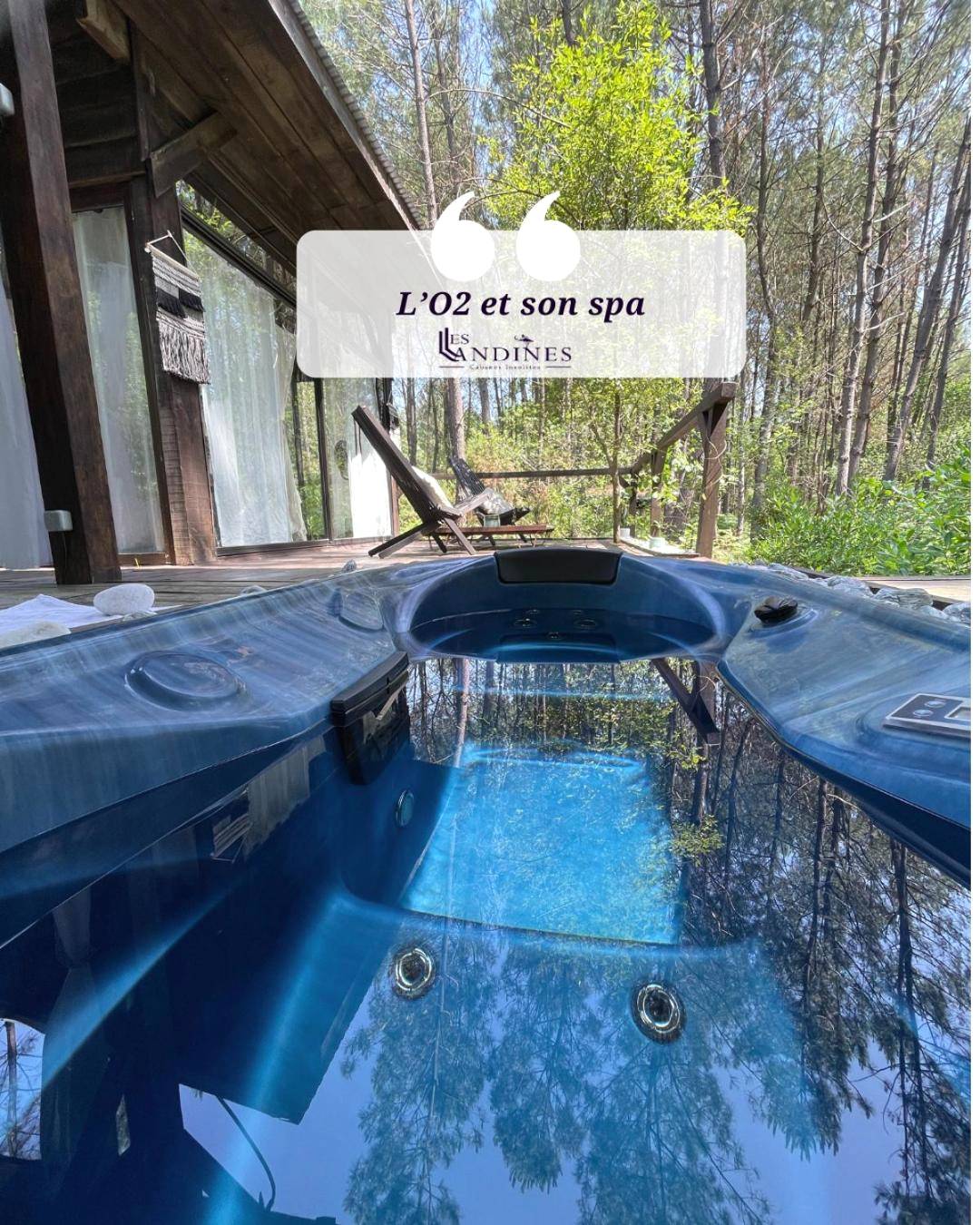 Autre vue interieure - L'O2 et son Spa, cabane de verre et de bois - Origne