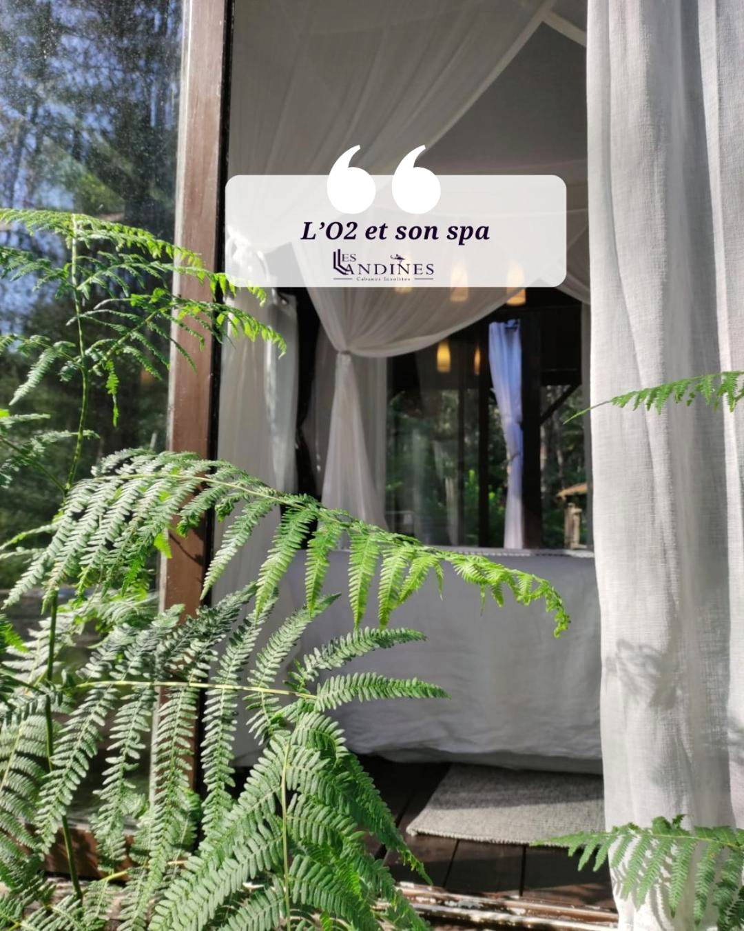 Photo du logement - L'O2 et son Spa, cabane de verre et de bois