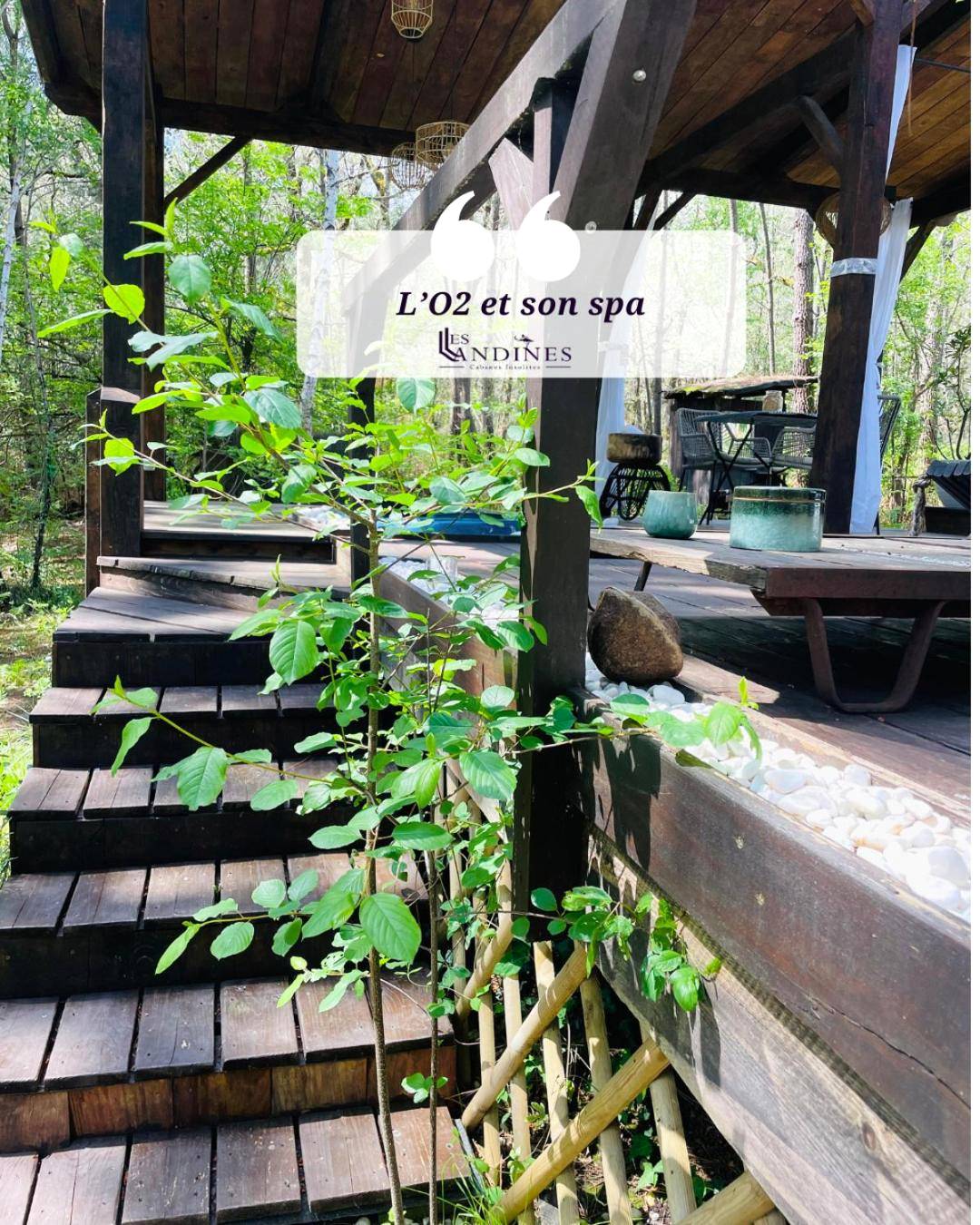 Photo du logement - L'O2 et son Spa, cabane de verre et de bois