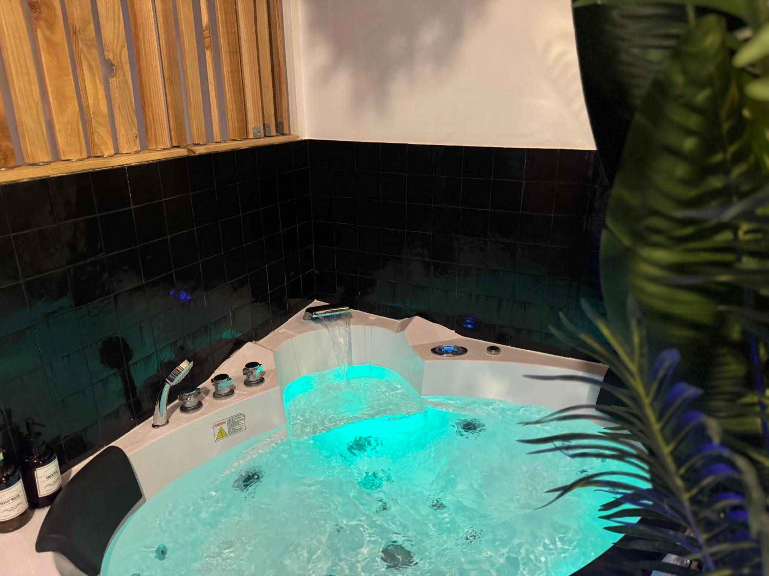 Photo du logement - L'Oasis Angevine - Balneo, Sauna, Home Cinema & Parking