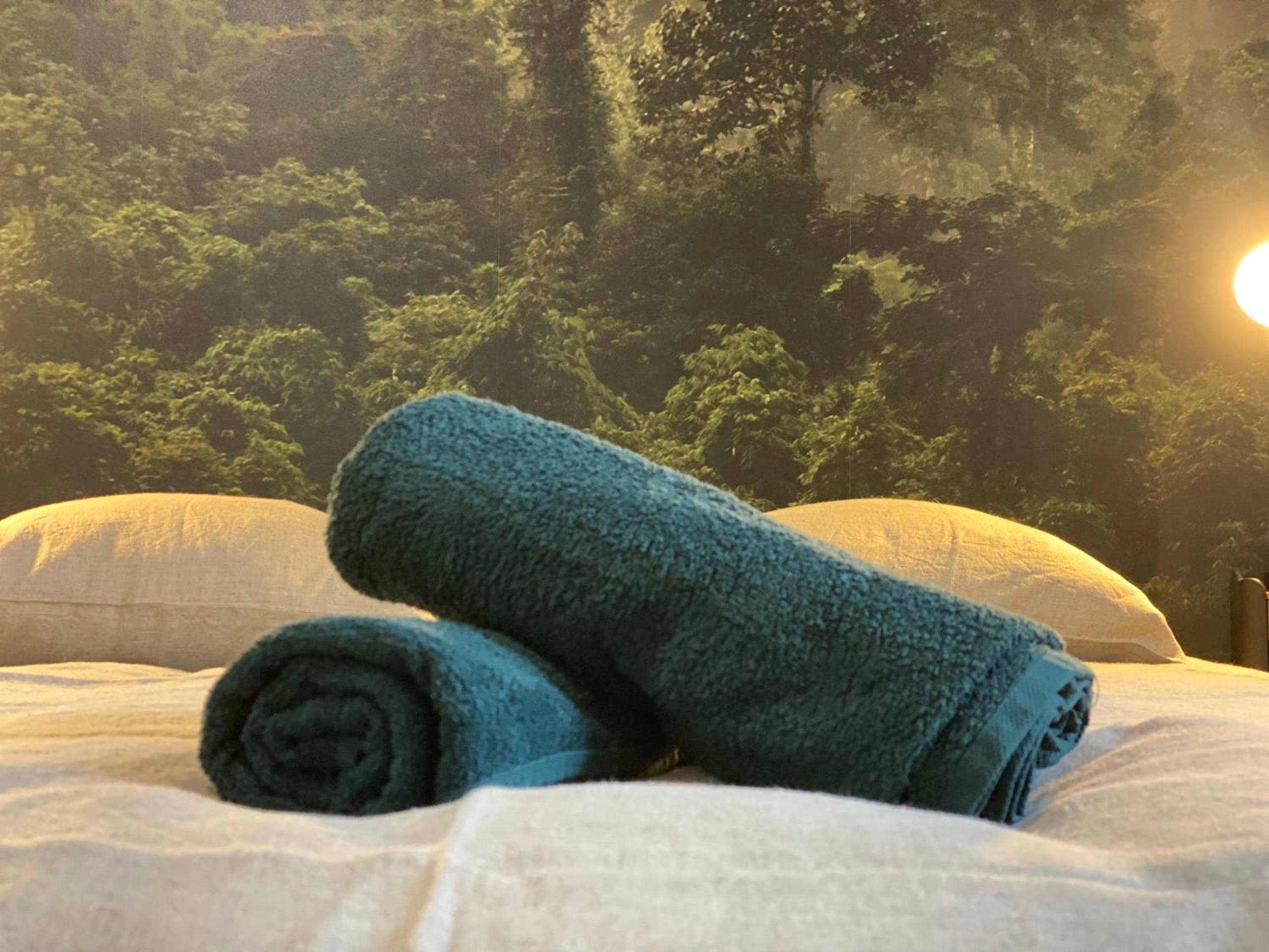 Photo du logement - L'Oasis Angevine - Balneo, Sauna, Home Cinema & Parking - Angers