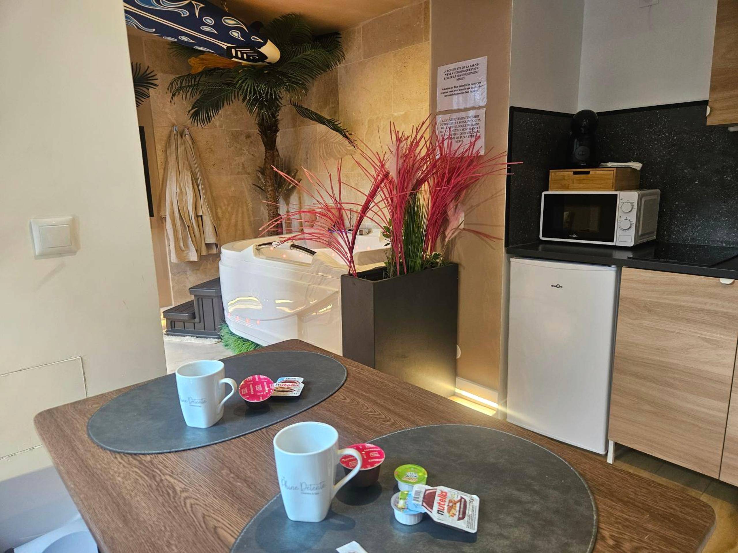 Photo du logement - L'Oasis Evasion de 60m2 avec SPA privatif et Design